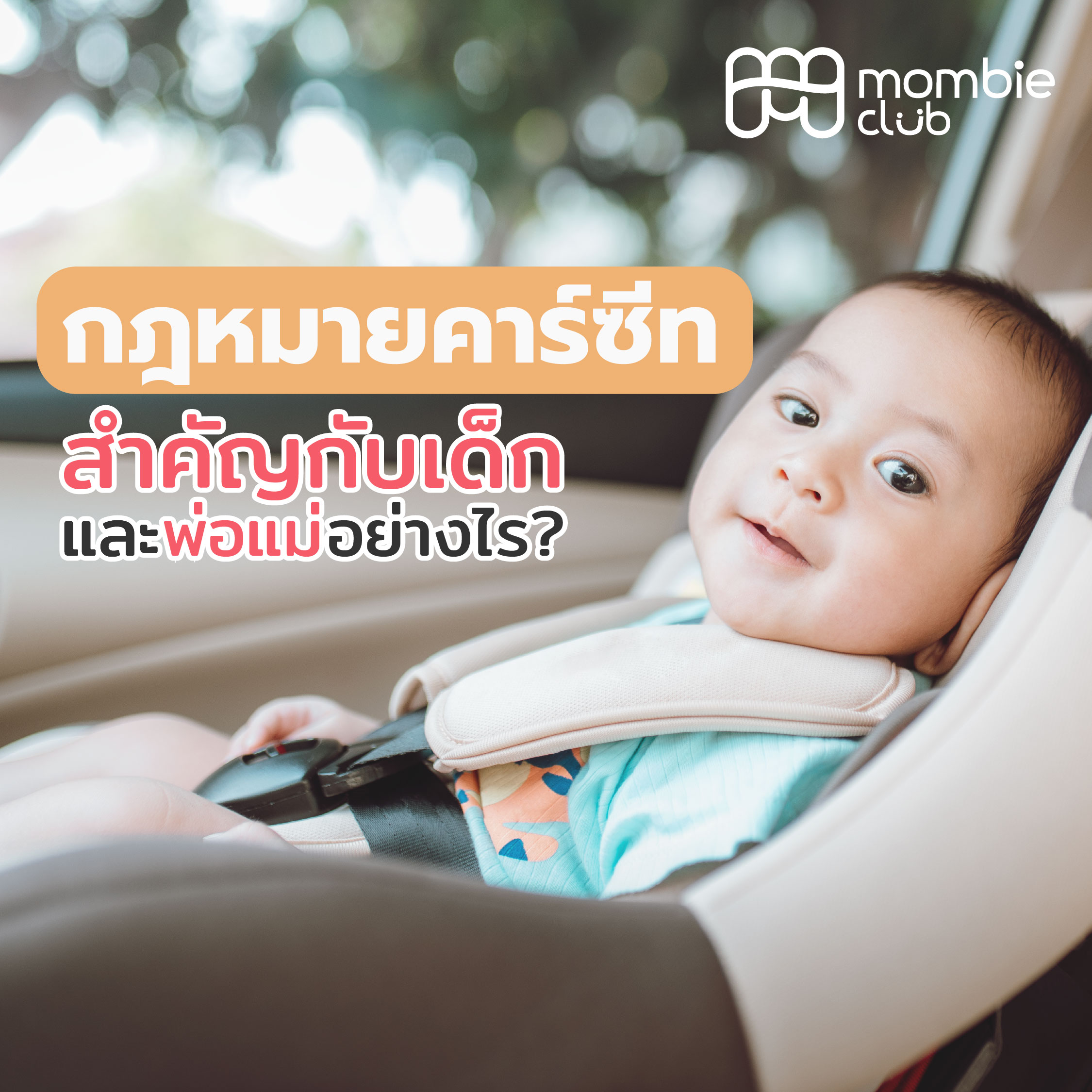 กฎหมายคาร์ซีท